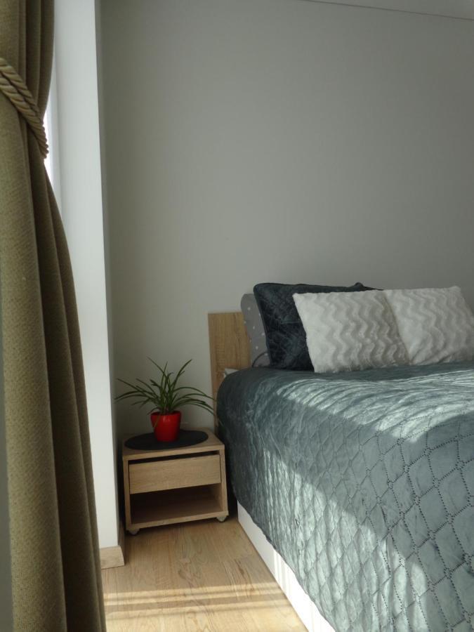 וילנה Elzbietos Centro Apartamentai מראה חיצוני תמונה