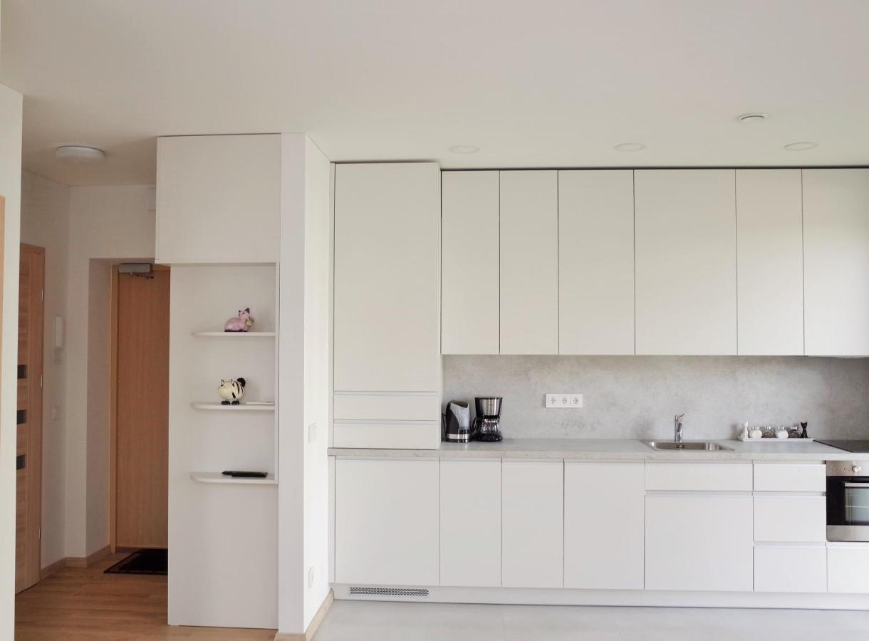 וילנה Elzbietos Centro Apartamentai מראה חיצוני תמונה